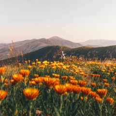 (FREE) Lo-fi Type Beat - "Honesty"