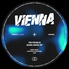 FM From B - Bang Bang EP (VNA008)