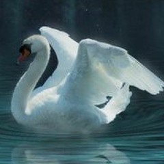 Thames in the Blue (2002) John Kettle - Feat. Nighswan