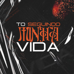 To Seguindo Minha Vida (feat. DJ BR4)