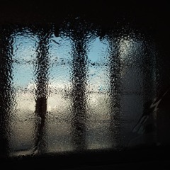 Wisdom Teeth with Shielding - 09 November 2025