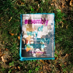 Assembly Of Very Many Persons Mix Series