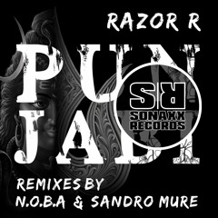 Razor R - PUNJABI (Sandro Mure Remix)