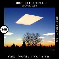 Through The Tree's w/ Jacob Soso - 19.10.25