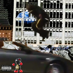 HUBBLETELESCOPE [Adyy88]