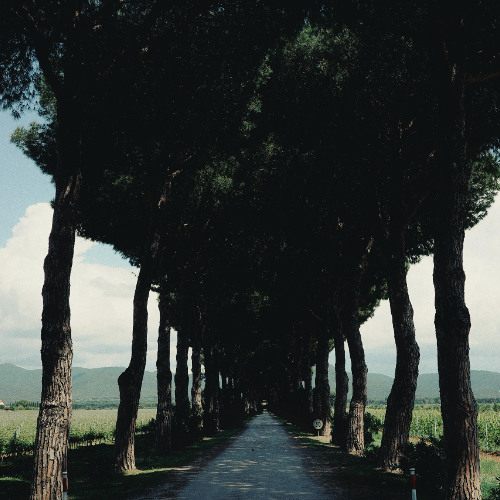 Riga Couch session Deep Techno 2025-11-16