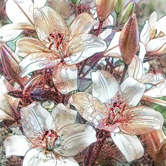 Lookii [Instrumental]