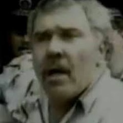 Succulent Chinese Meal