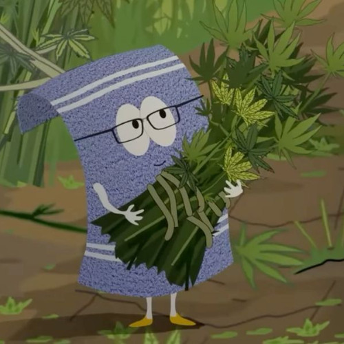 m siento perdido¿ trash fristyle 00