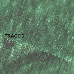 TRACK 2