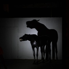 ☆BURRITO FREESTYLE☆