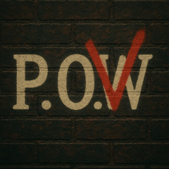 P.O.V