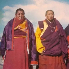 藏|寂后愿文 - CDR