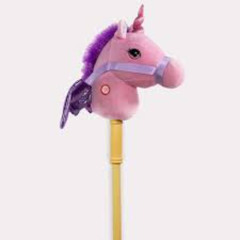 Gkonha - e esse cara que pagou 10 mil reais pra ponyland explodir