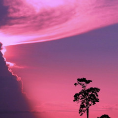 STARTHRAX - @Drixxx444 (Prod.Loones x harz))