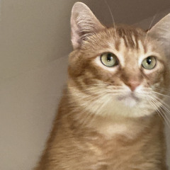 I thought I lost you_2.wav