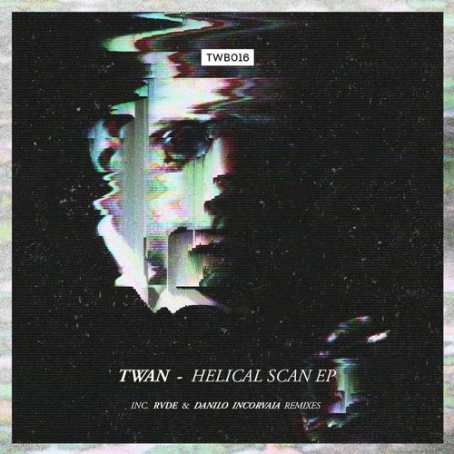 05 TWAN - De Vos (Danilo Incorvaia Remix)