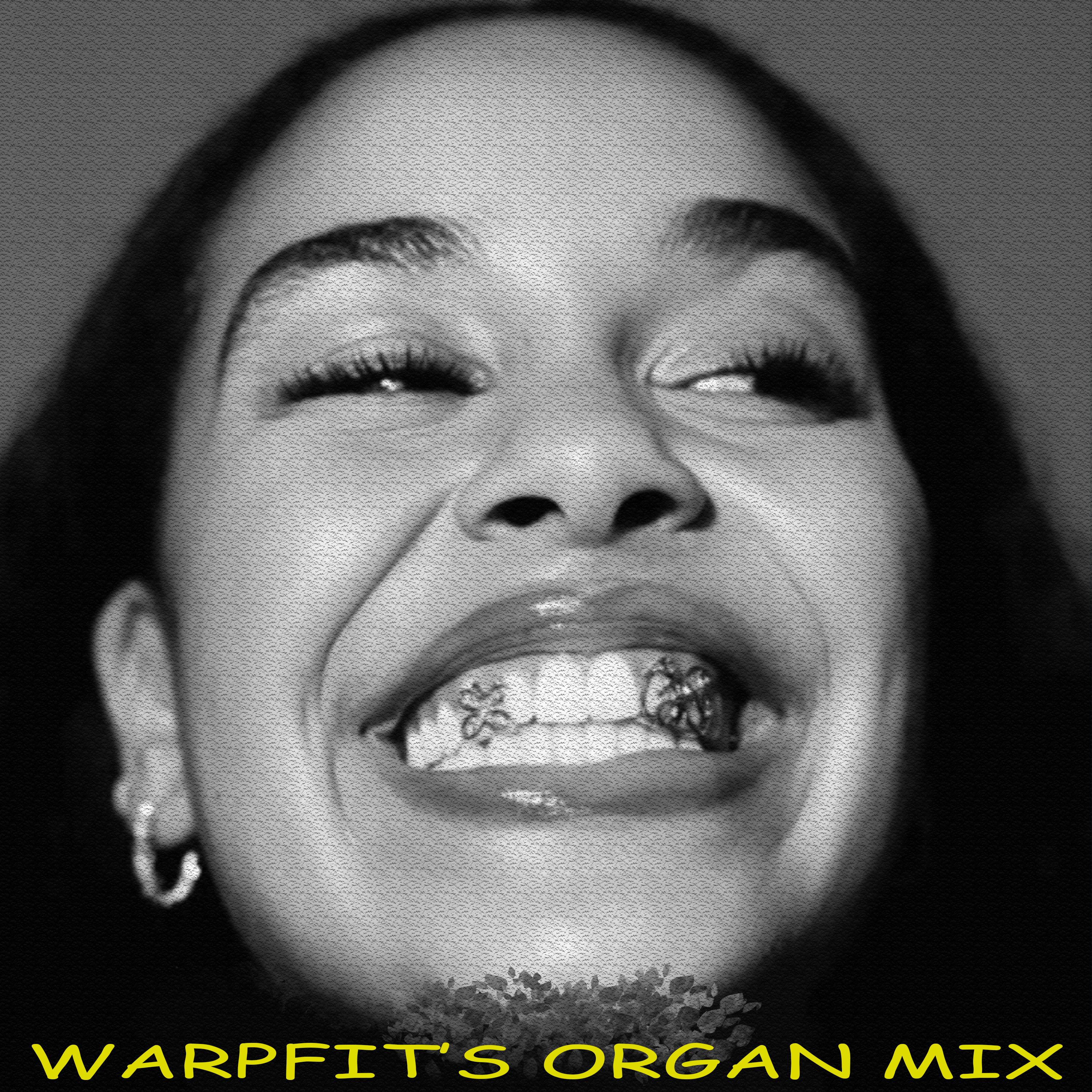Warpfit – Little Things (ORGAN MIX)