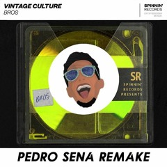 Vintage Culture - Bros (Pedro Sena Remake)
