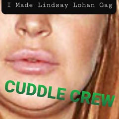 I Made Lindzy Lohan Gag
