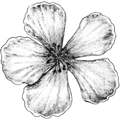 Kraska