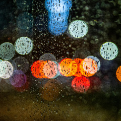 Fever | Opening Credits