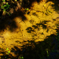 September 2025 | for the club and murky waters | 132bpm -> 140bpm