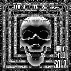 Aboy M80 x Subsolow - What Is My Purpose