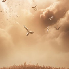 Seconds Before Dawn Idref