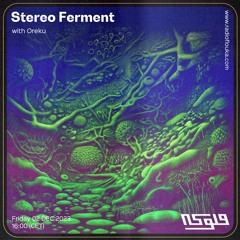 Stereo Ferment with Oreku - 01/11/2023