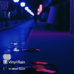 2️⃣-vinyl rain 22