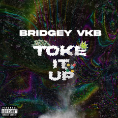 BRIDGEY x VKB - TOKE IT UP