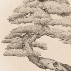 Bonsai (w/ Baatchoy)