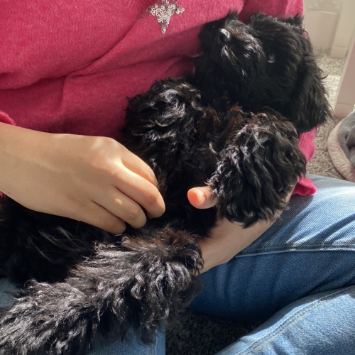 fundamental philosophy (demo)