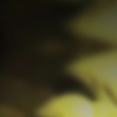 roxie jetlag rmx