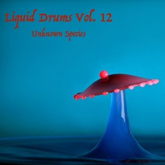 Liquid Drums Vol.12