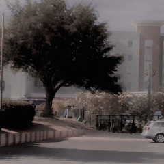 demo-I think I like it when it rains