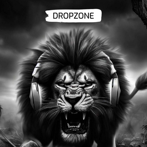 DropZone Recordings / NETROM
