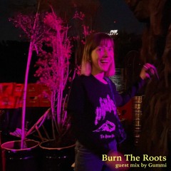 Burn The Roots: guest mix by gummi