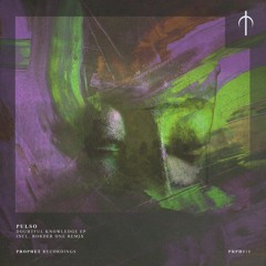 PREMIERE : Pulso - Doubtful Knowledge (Border One Remix) [Prophet Recordings]