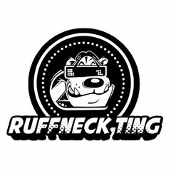 JINX  & Traffic  Ruffneck Ting @ The Attic Bristol  May 2017