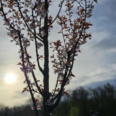 Ingo Sänger @ April 2024