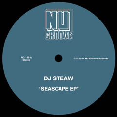 PremEar: DJ Steaw - Take It There feat. Mr. V [NG149D]