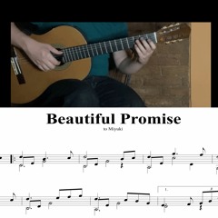 Beautiful Promise - Hirokazu Sato