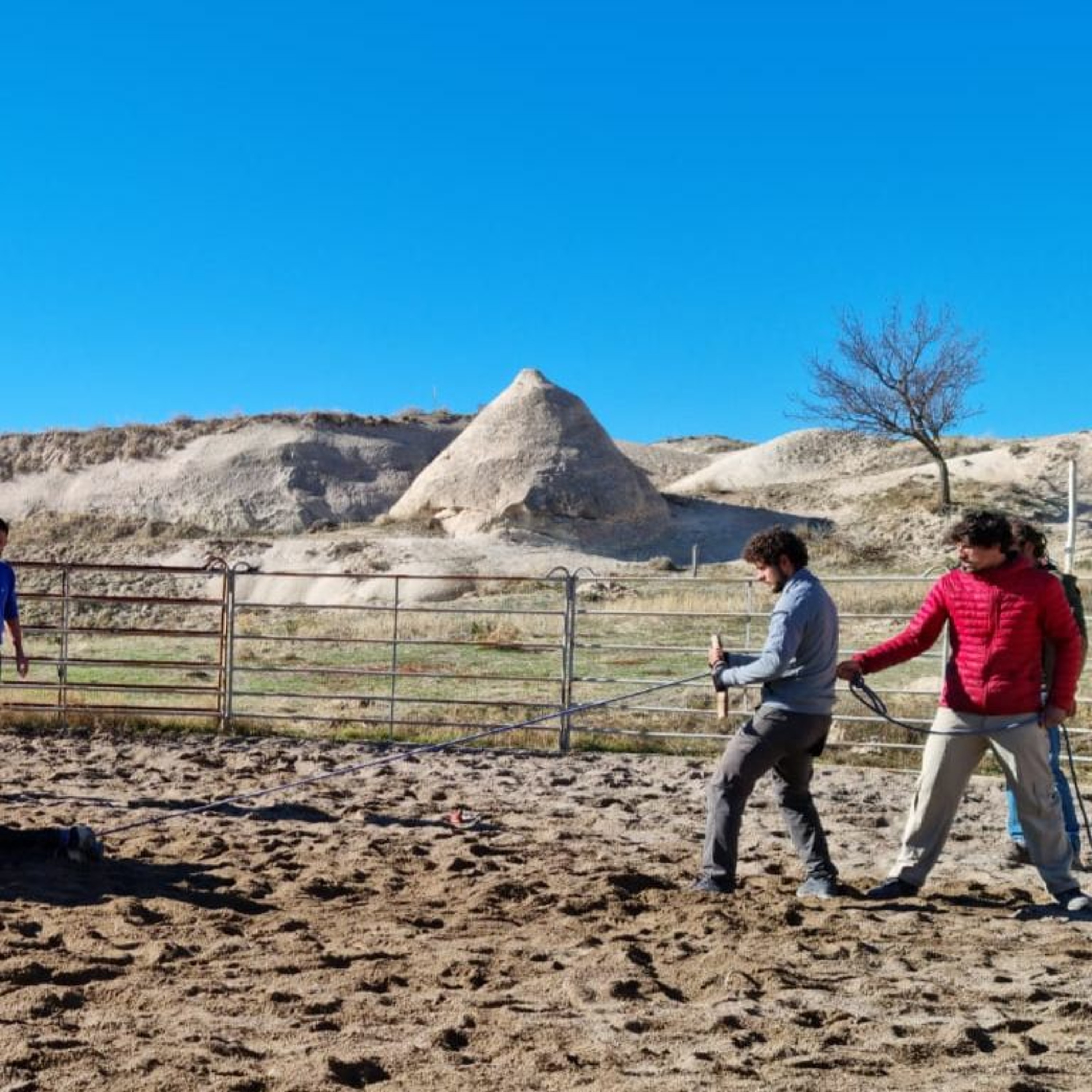 Steppe FM