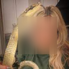 [Scandal 18++] one girl 50 snake video one girl fifty snake one girl fifty snake viral video