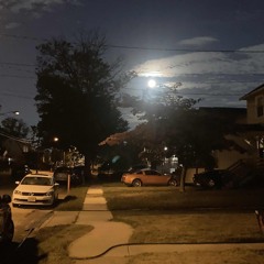 Pull Her Hair w// xnetake