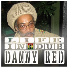 LIFE IN DUB PODCAST #9 DANNY RED hosted by Steve Vibronics