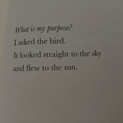 Summer Samples. 2024 (ft. Cxrdin & Eriosah)