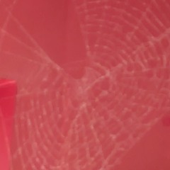 Web of Deceit